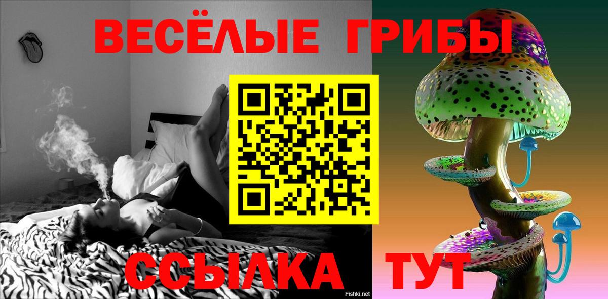 Галлюциногенные грибы GOLDEN TEACHER  Галлюциногенные грибы ЛСД  Самара  Вход с VPN 