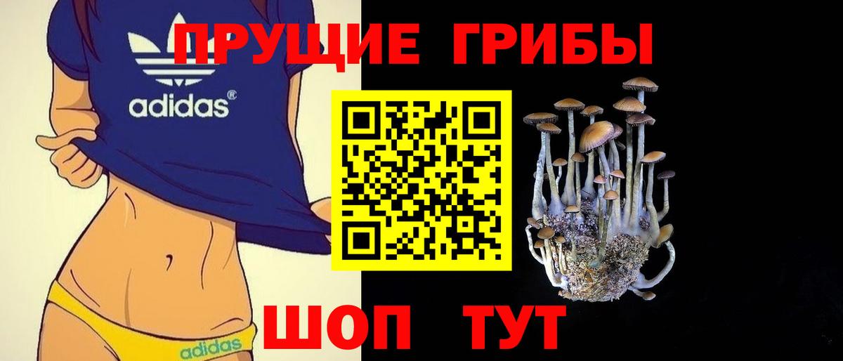Псилоцибиновые грибы GOLDEN TEACHER Самара